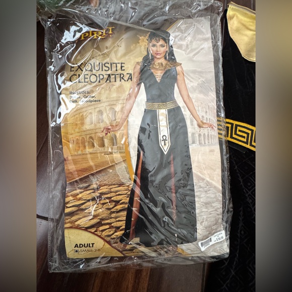 Spirit Black and Gold Exquisite Cleopatra Costume + Extras - Picture 2 of 6